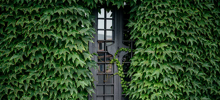 Garden Gate Repair in West Little River, FL