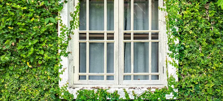 Garden Window Repair Near Me in West Little River, FL