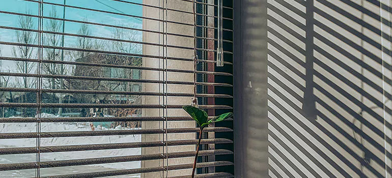Commercial Window Blinds in West Little River, FL