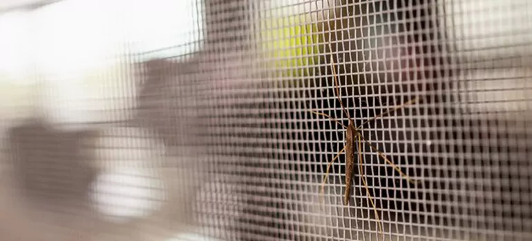 Repair Mosquito Mesh For Windows in West Little River, FL