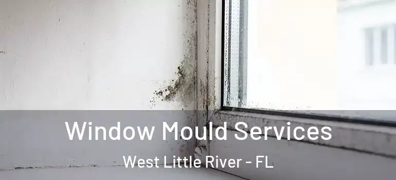  Window Mould Services West Little River - FL